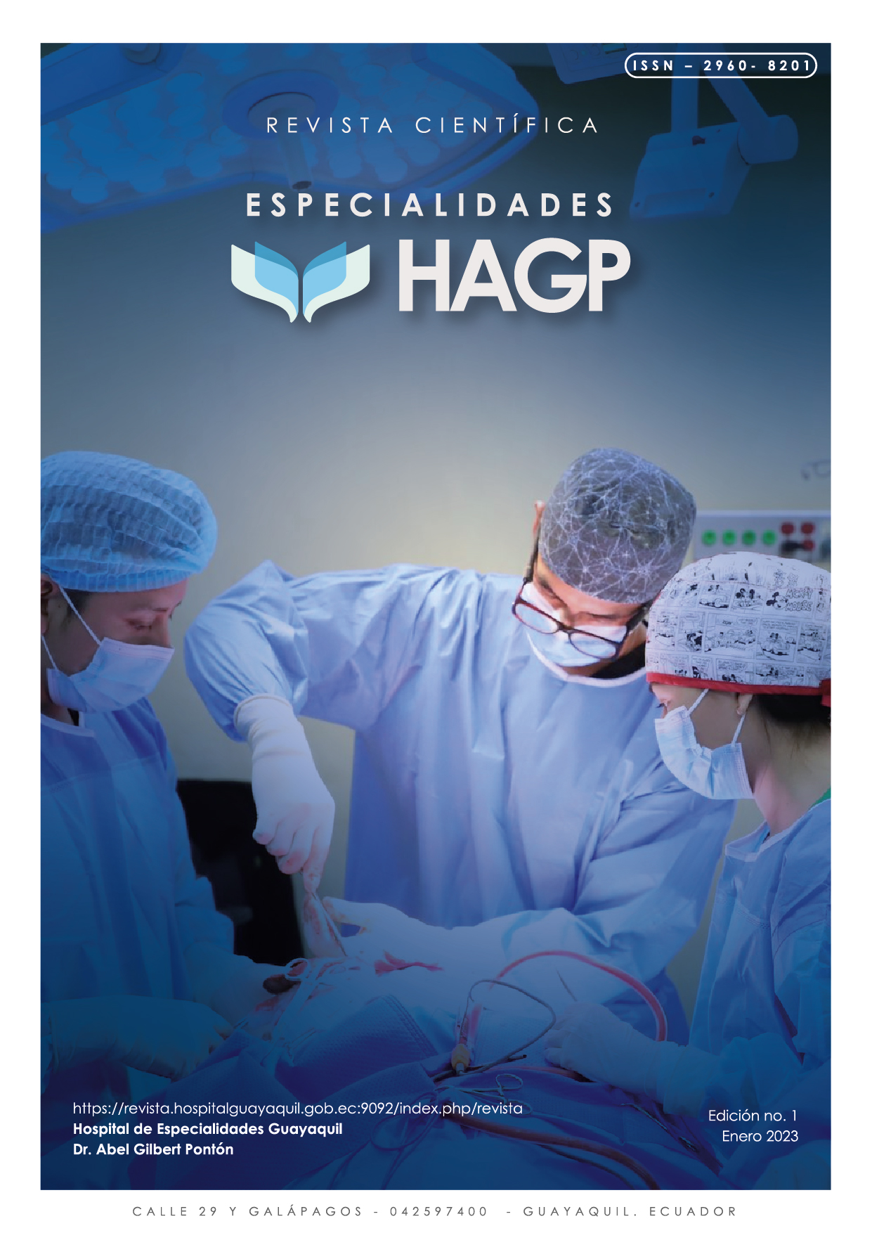 					Ver Vol. 1 Núm. junio (2023): Revista Especialidades HAGP
				